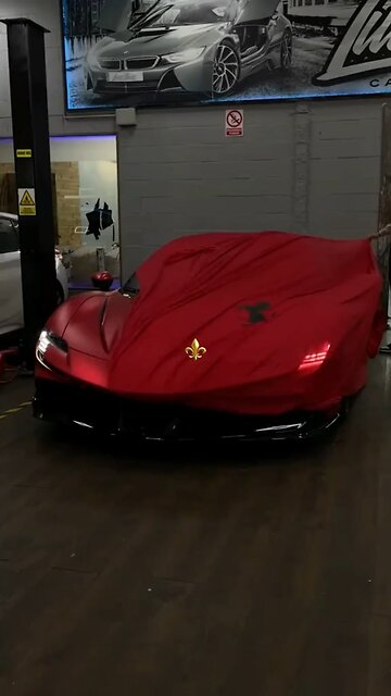 This Lifestyle! 👑