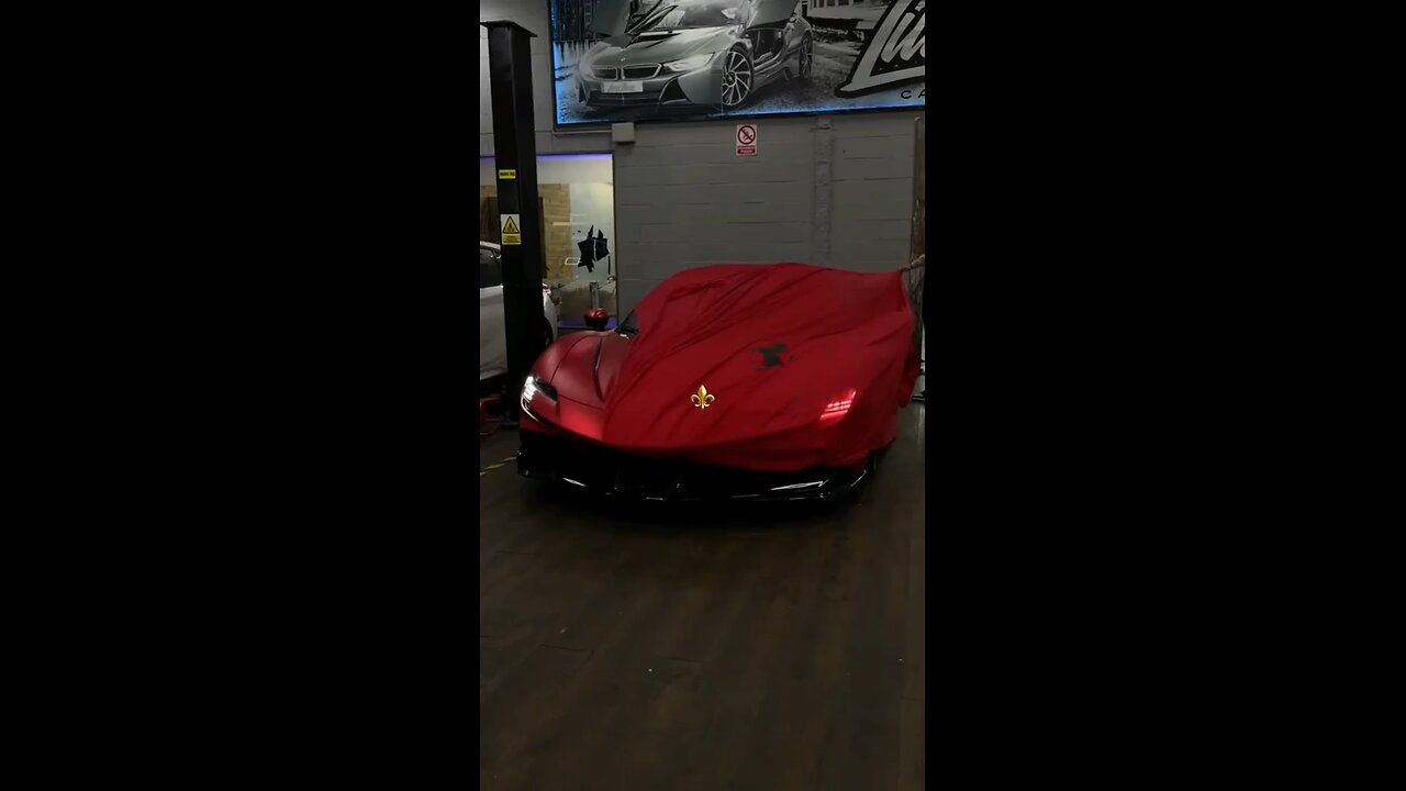 This Lifestyle! 👑