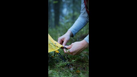 CAMPING WITH CARAVANS IN FORESTS AREAS