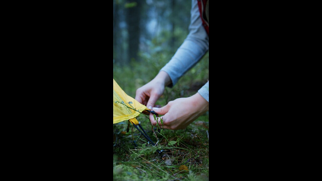 CAMPING WITH CARAVANS IN FORESTS AREAS