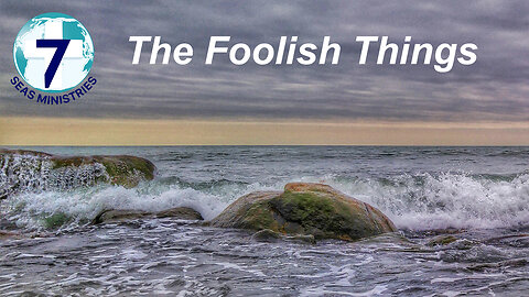 The Foolish Things