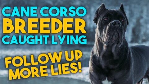 Ruffhouse Kennels Cane Corso Breeder Lies