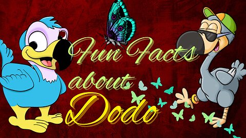 Interesting facts about Dodo