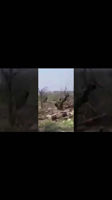 Breaking News As It Happens. **Warning** **Graphic Content** Viewer Discretion Advised 18+ #shorts