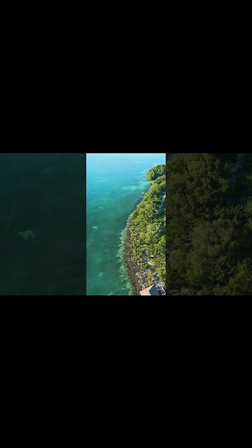 BEST SECRET in Islamorada ❤️Florida Paradise 🌴 #shorts #islamorada #florida