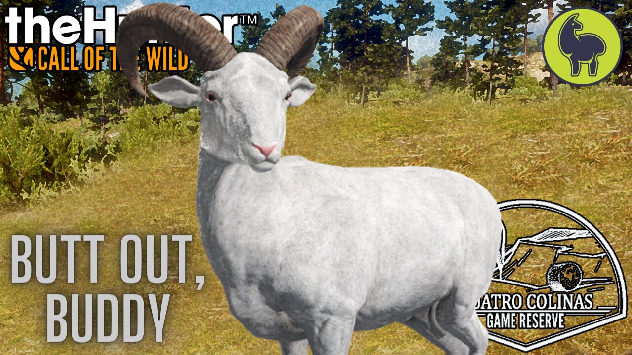 Butt Out, Buddy, Cuatro Colinas | theHunter: Call of the Wild (PS5 4K)