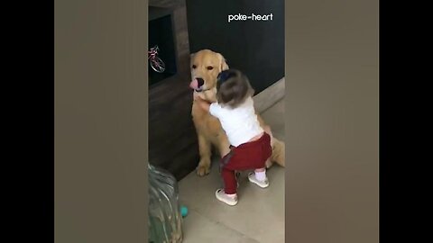 Toddler Gives Dog a Hug Before Going to School!