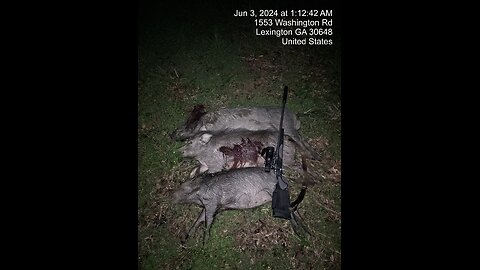 Bolt Action Beat Down
