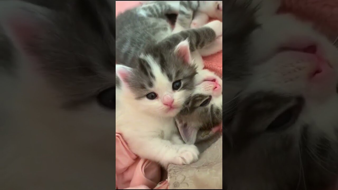 Follow from your shadow