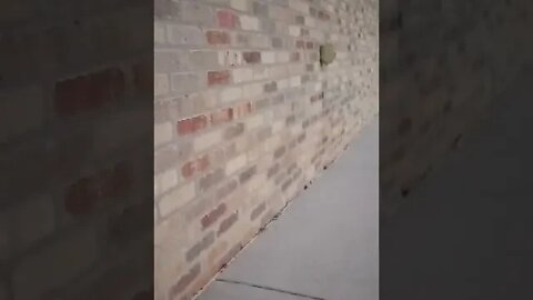 #homeless #gangstalker quit clapping once I started filming