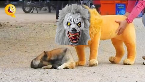Funny Animal Prank: Dog and Lion Mask on Human - Best TikTok Video Yet!