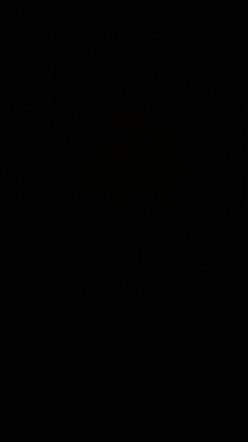 Throw a temper tantrum