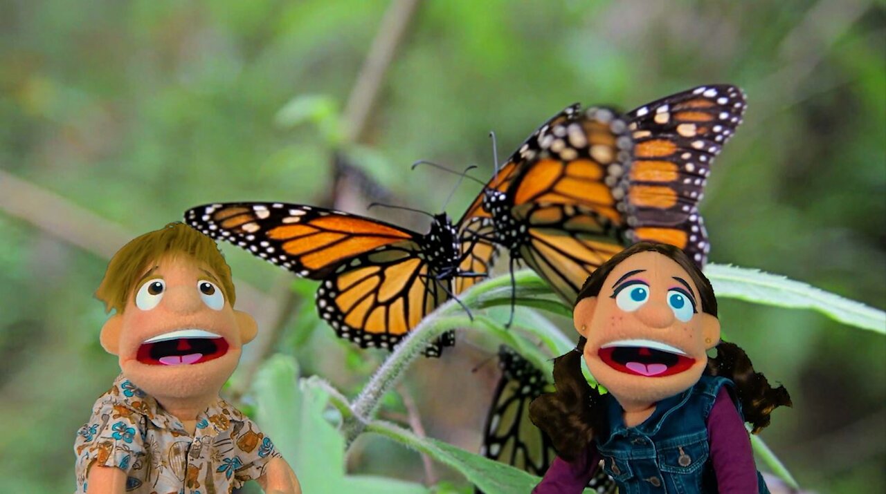 Imagination Trip 3 (Bugs) - Gus and Gia Puppet Show