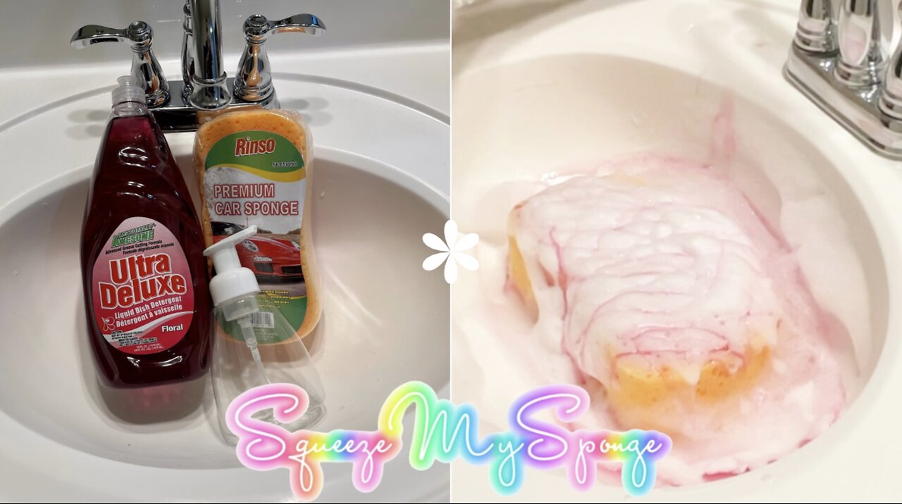 DIY Dollar Tree Red Foaming Dish Detergent Soap LA's Totally Awesome Hack + Squeeze My Sponge