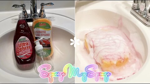 DIY Dollar Tree Red Foaming Dish Detergent Soap LA's Totally Awesome Hack + Squeeze My Sponge