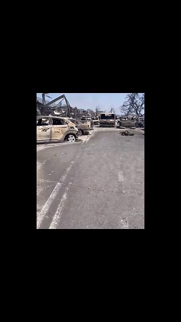DAYS AFTER TRAGIC WILDFIRE APOCALYPSE🔥🏡🐾🚙🛥️🔥🛰️IN LAHAINA TOWN MAUI🔥🏘️🌳👣🔥🛰️💫