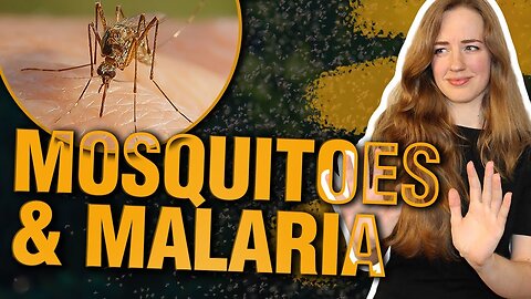 Malaria Not Worse and More Deadly Due to Climate Change