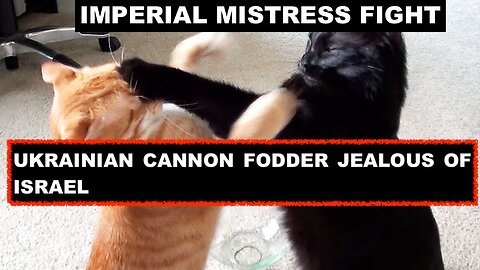 IMPERIAL MISTRESS FIGHT - UKRAINIAN CANNON FODDER JEALOUS OF ISRAEL