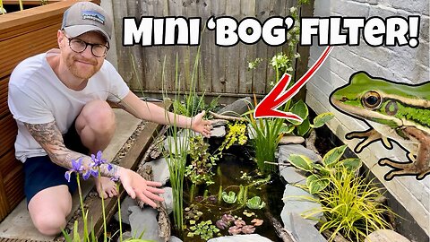 DIY Mini *Wildlife* Pond. (step-by-step)