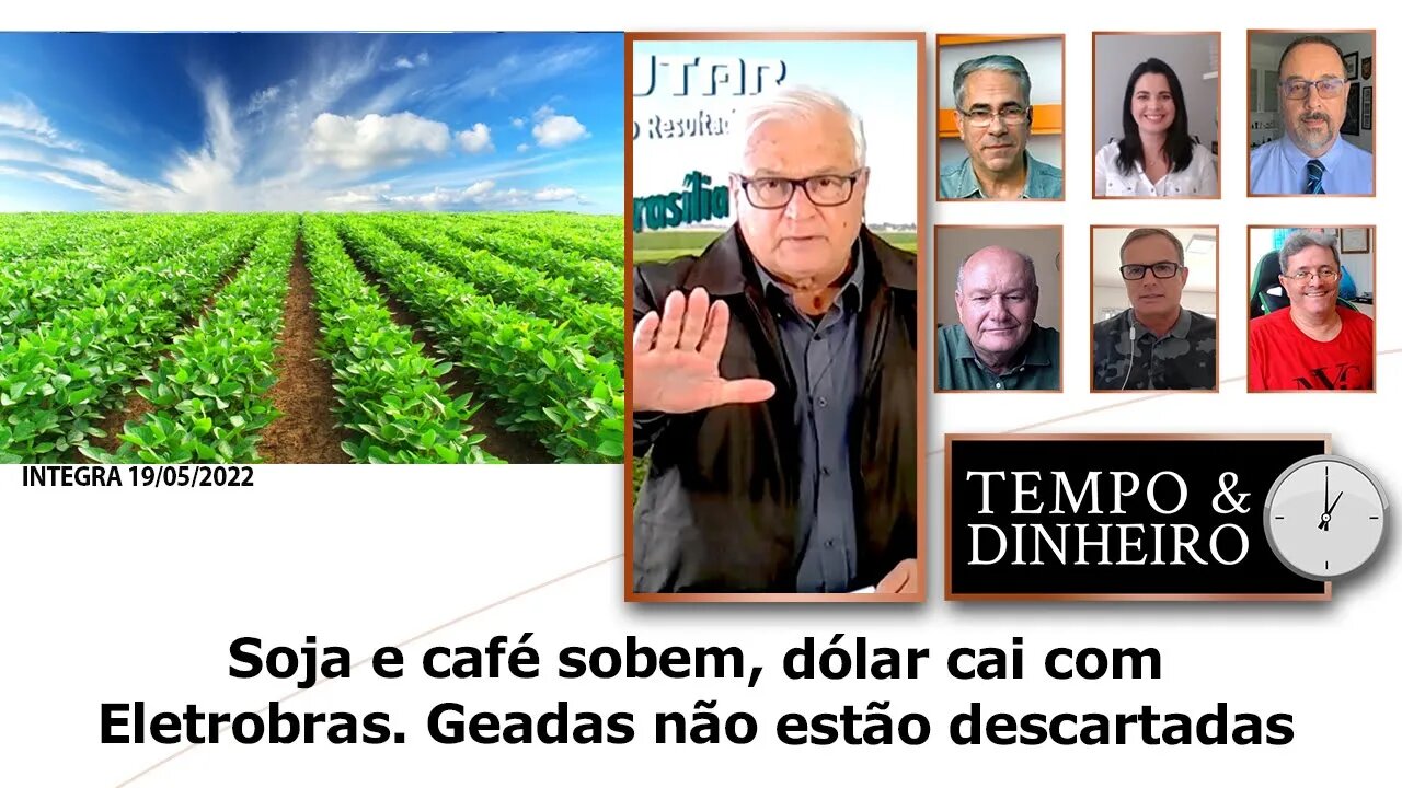 Soja e café sobem, dólar cai com Eletrobras. Geadas não estão descartadas