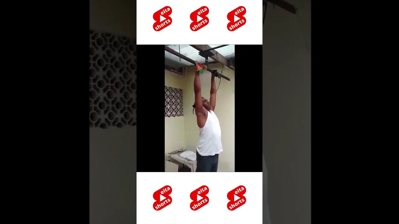 O Burro da Academia #shorts