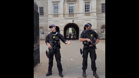 police stop jogger from runing into horse Guards parade #horseguardsparade