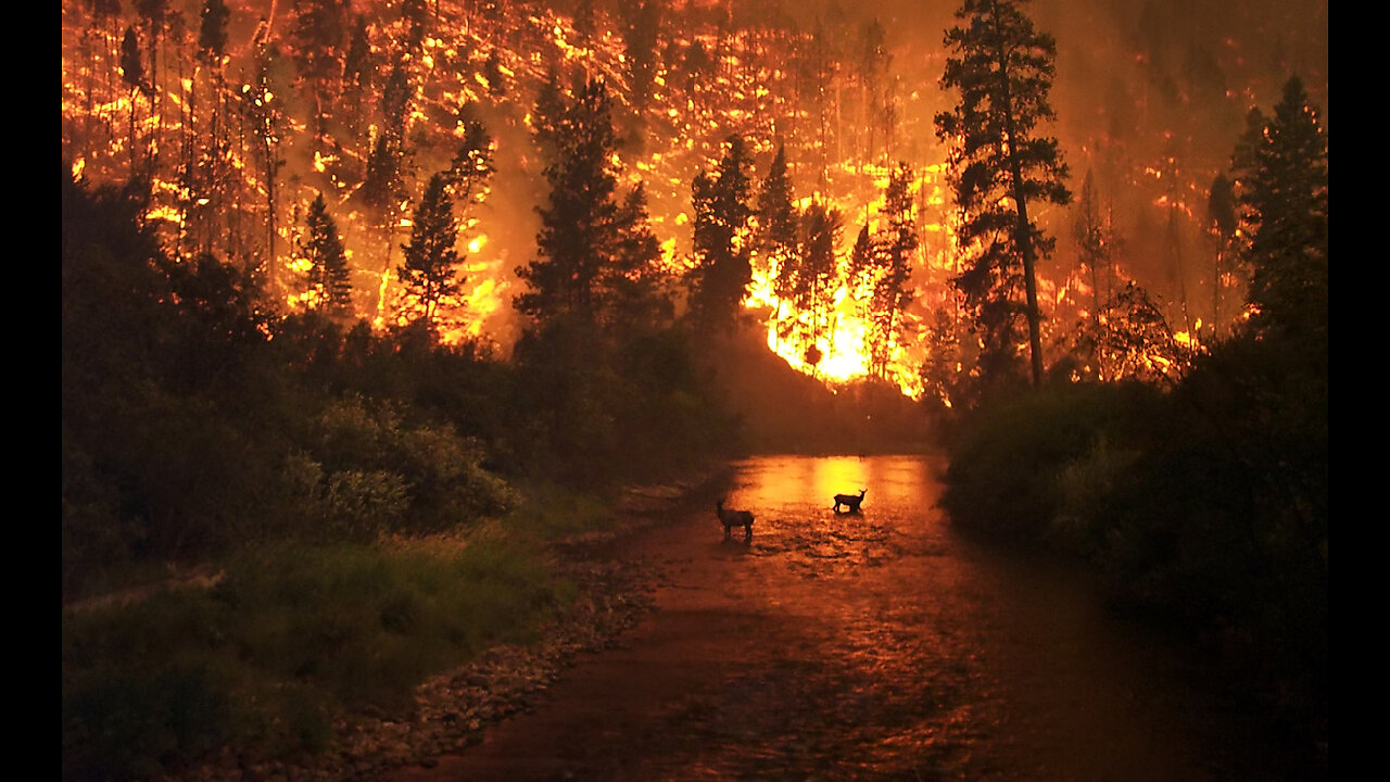 Devastating Canada Wildfires: A Catastrophic Destruction of Two Million Acres of Land