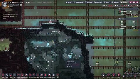 Oxygen Not Included 50 Dupes 500 Cycles 18