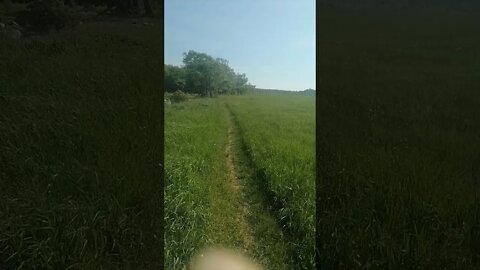 First trek since getting put of quarantine