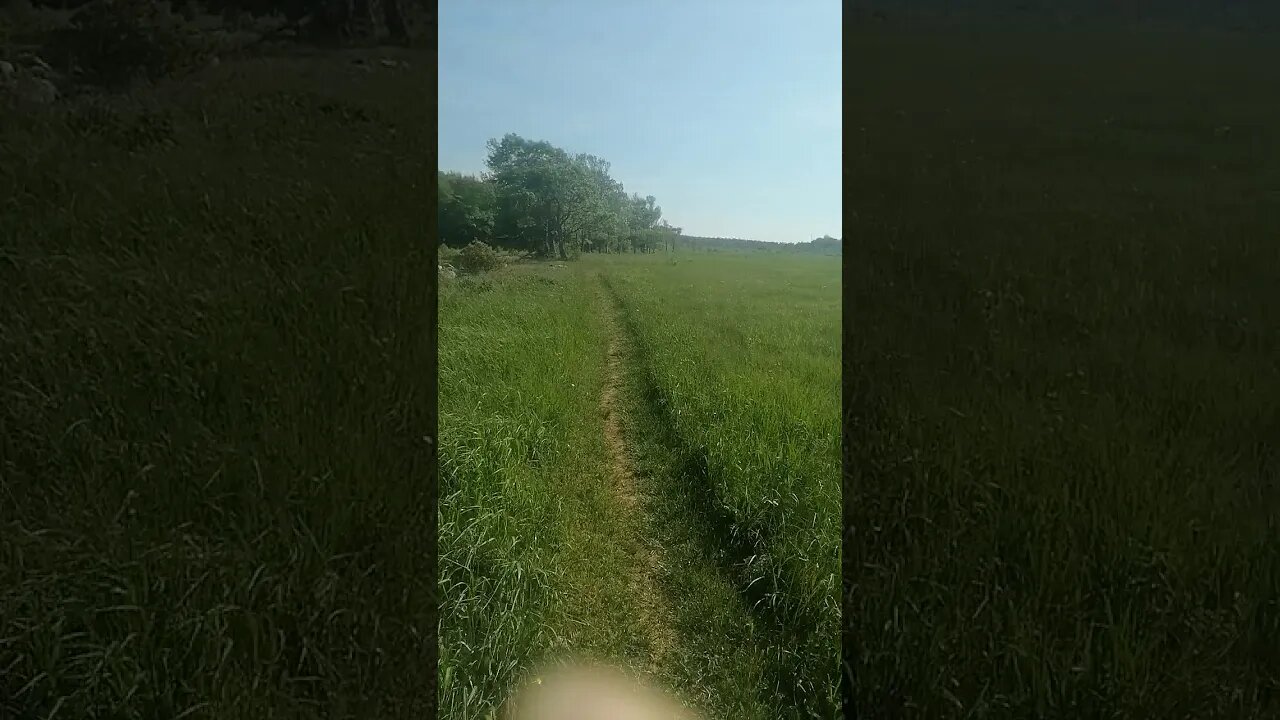 First trek since getting put of quarantine
