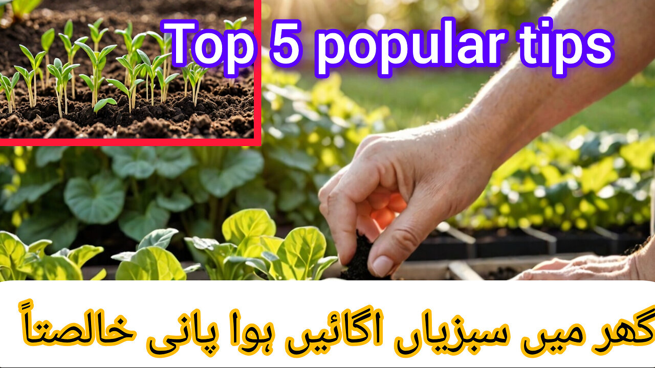 How to grow plants cuttings growingslemon from the