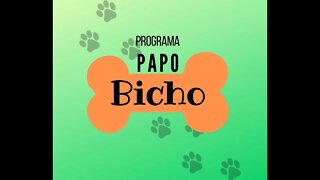 PAPO BICHO - 24-11-2021