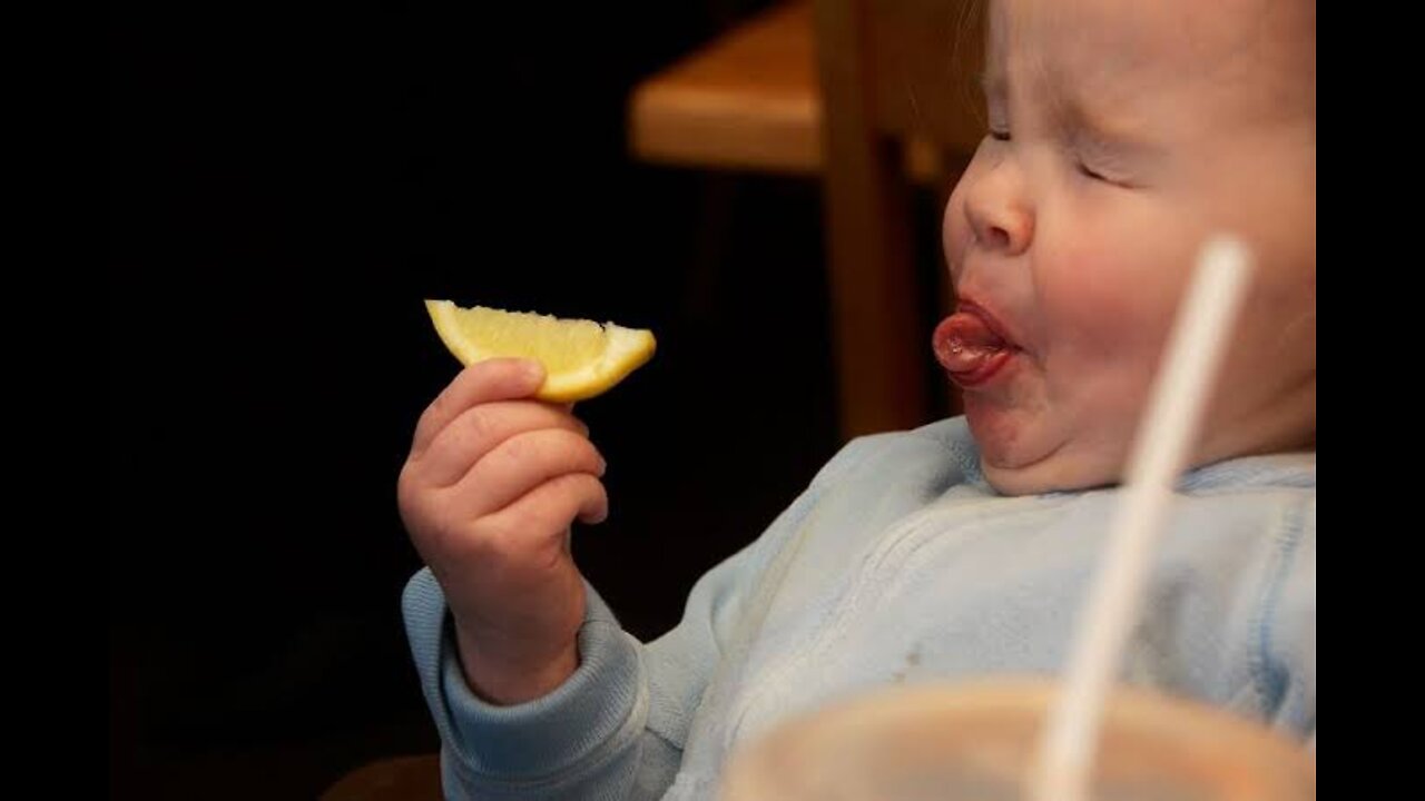 Cute toddlers tasting lemon for the first time || cute and adorable reactions