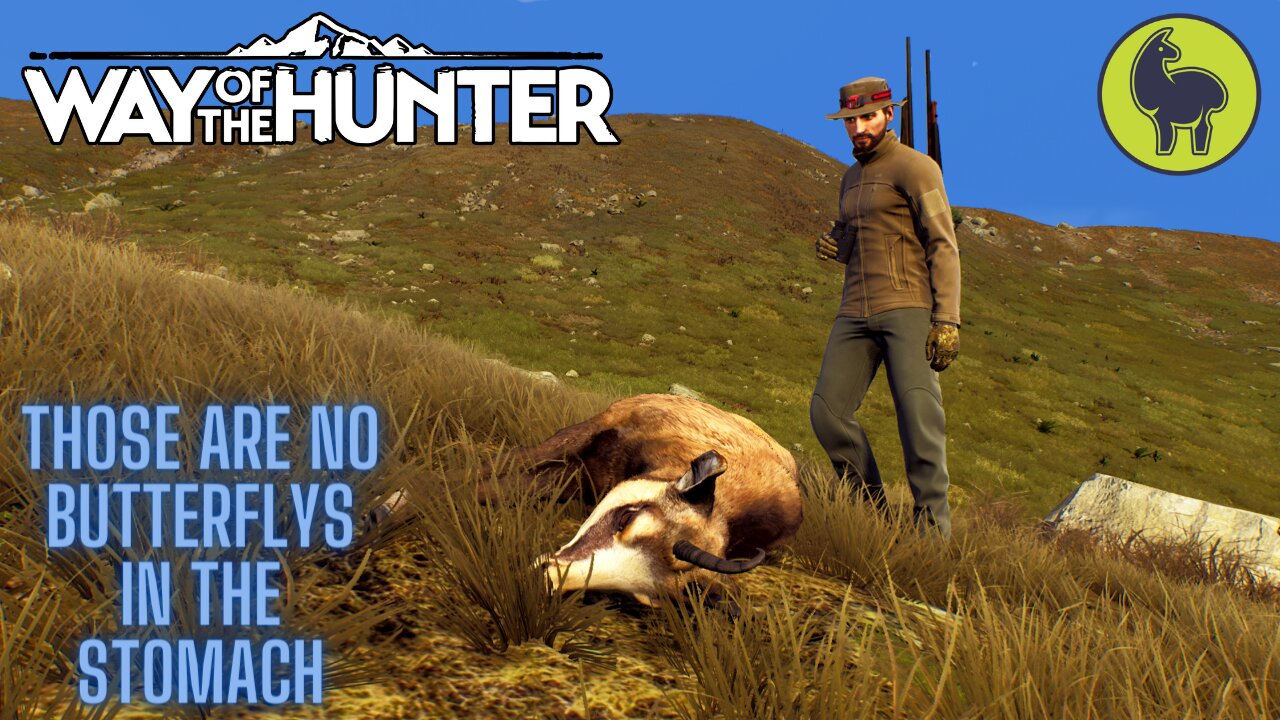 Those are No Butterflys in the Stomach, Campsite Tasks, Transylvania | Way of the Hunter (PS5 4K)