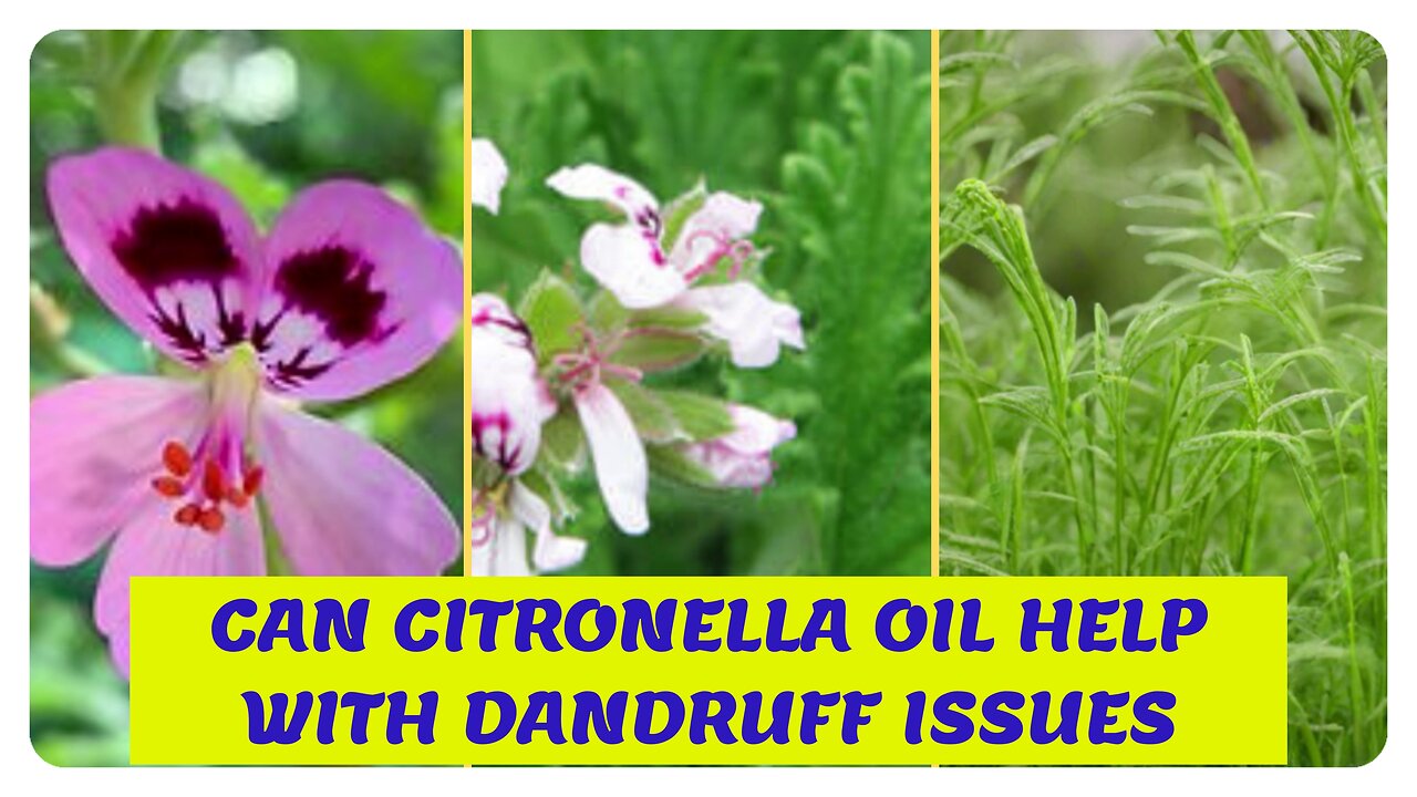 Achieve Luscious Hair: Why Citronella Oil Should Be Your Go-To Natural Treatment