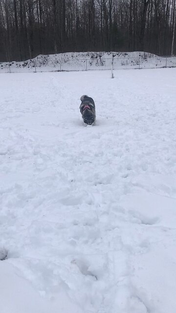 Sunday Dec 8, Pearl Harbor day