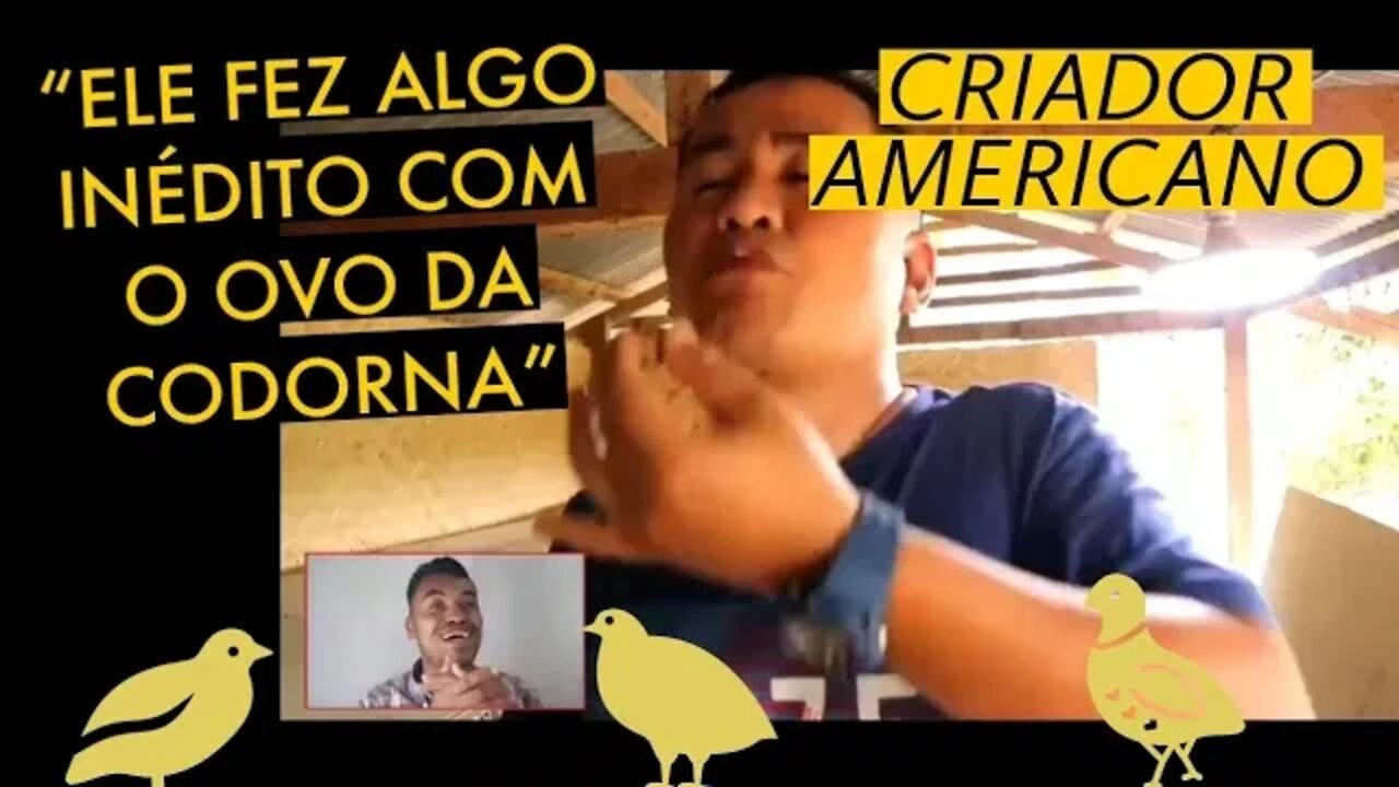 @Viver de codorna REAGE: CRIATÓRIO DE CODORNAS NOS ESTADOS UNIDOS/ ELE FEZ ALGO INÉDITO
