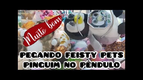 TIREI O FEISTY PETS PINGUIM 🐧 DE DENTRO DA TOCA👏👏👏