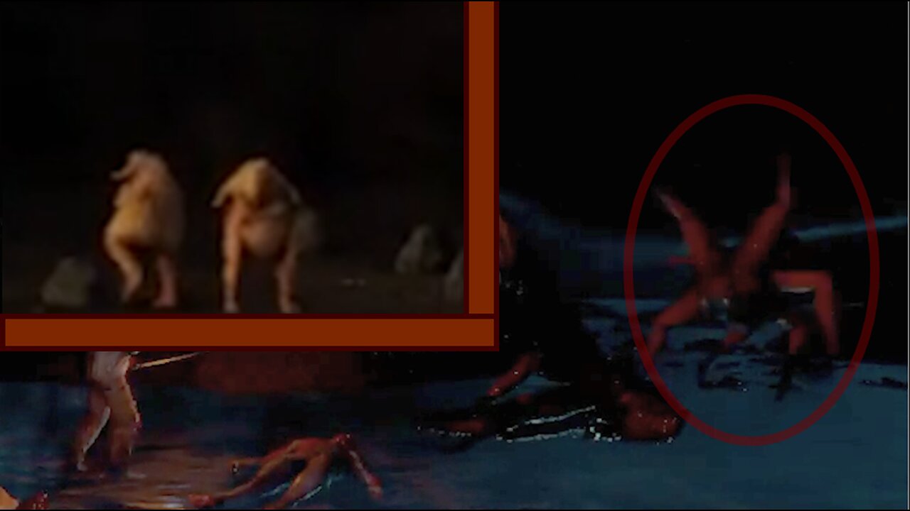 THIS GAME JUST GOT WORSE (The Forest)