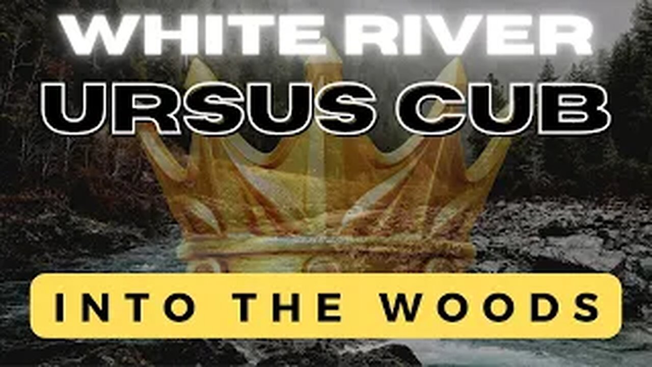 Into The Woods - The White River Ursus Cub and MORE!