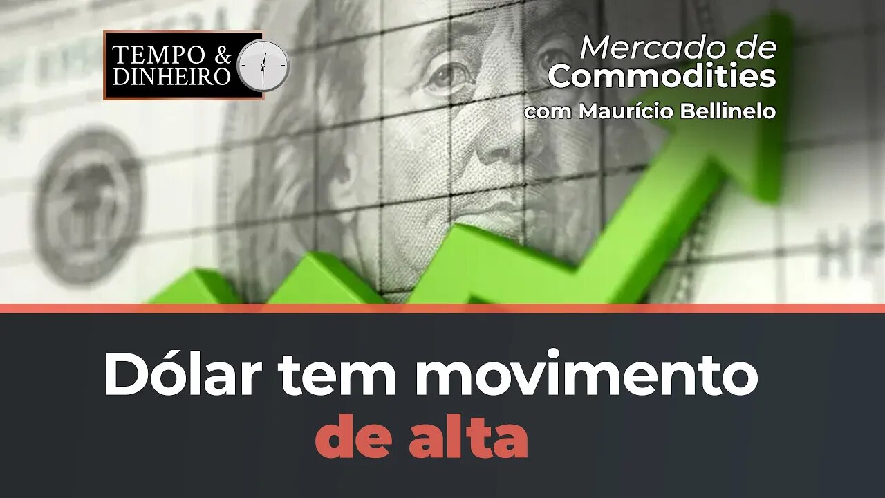 Dólar tem movimento de alta dentro do esperado e Selic pode cair, analisa Maurício Bellinelo