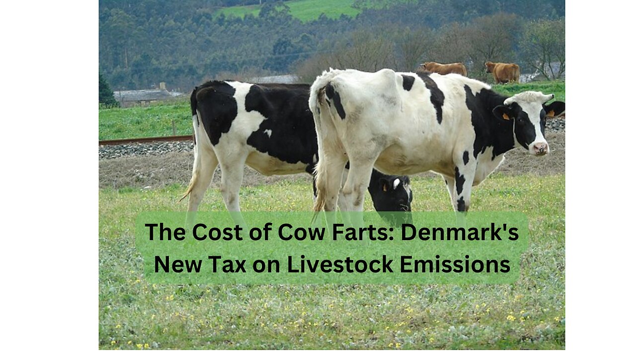 Denmark's Bold Plan: Taxing Cow Farts to Save the Planet!