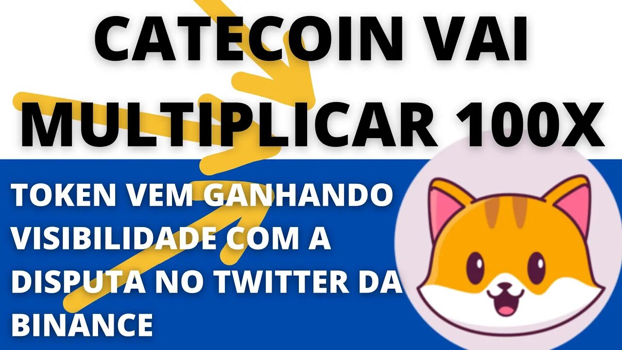 #Catecoin pode ser a próxima moeda a multiplicar 100x - 155