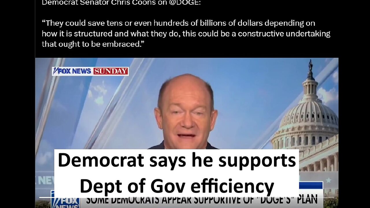 Some democrats say they will support Elon and Vivek’s DOGE