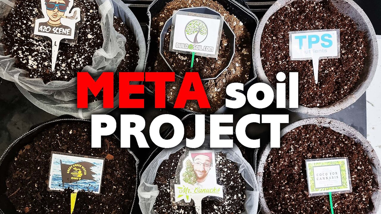 Can Mr. Canucks, Dr. Coco, 420 Scene & BuildaSoil Actually Grow? META Soil Project Episode 1