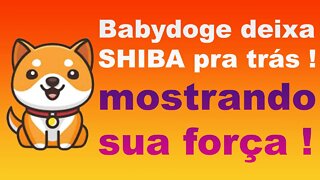 BABYDOGECOIN deixa SHIBA INU pra trás !!!