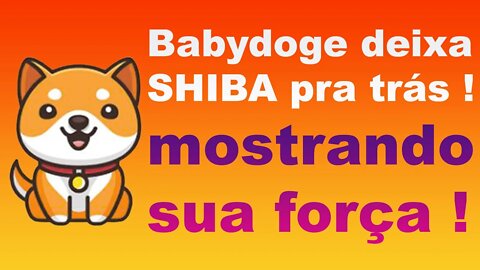 BABYDOGECOIN deixa SHIBA INU pra trás !!!