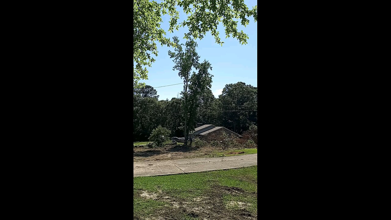 Leaning split sweet gum taken out.
