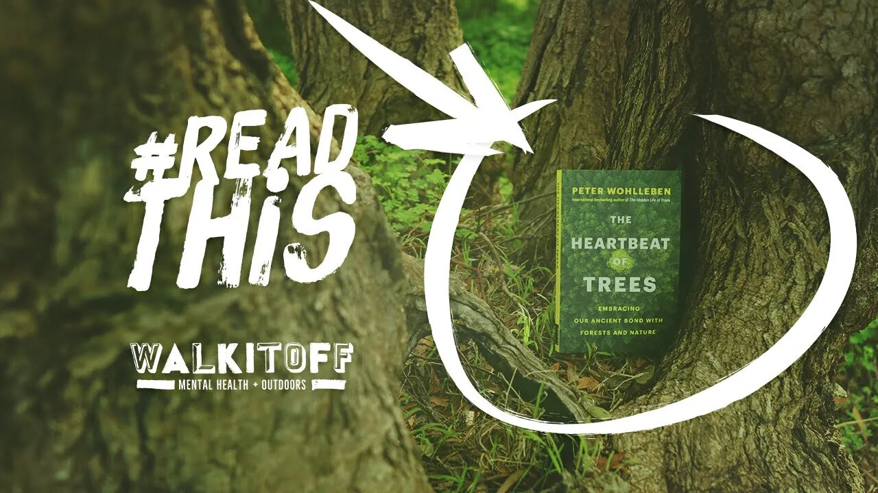 Is there really a reason a walk in the forest makes you feel better?