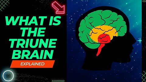 "Unlocking the Triune Brain: A Comprehensive Explanation"